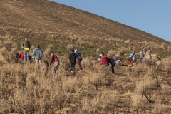 Sagebrush Planting Project - Robert Frost Elementary students