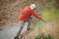 2022 Trailwork
