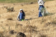 Elizabeth Weiss weeding on Badger 