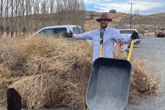 clearing tumbleweed for sagebrush planting