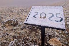 2025 Photos
