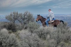 2026-03-17-Candy-Mtn-trail-horse-rider