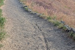 2026-05-24-Bike-skid-on-Canyon-Trail