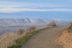 Zimmerman-2026-02-21-Horse-Heaven-Hills-from-Skyline-Trail